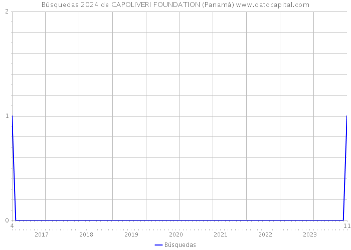Búsquedas 2024 de CAPOLIVERI FOUNDATION (Panamá) 