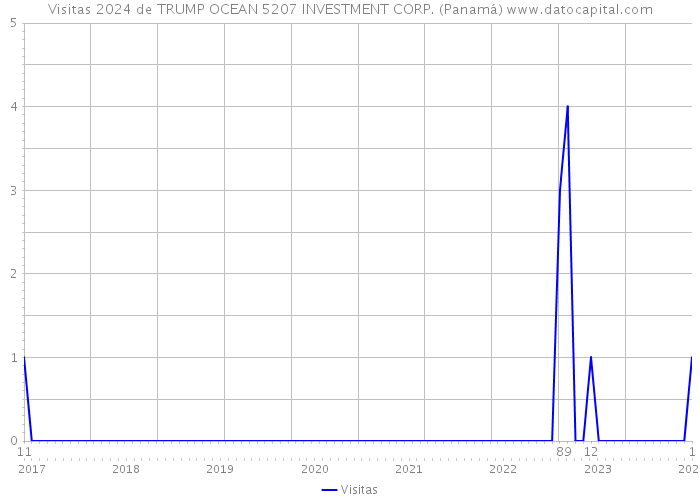 Visitas 2024 de TRUMP OCEAN 5207 INVESTMENT CORP. (Panamá) 