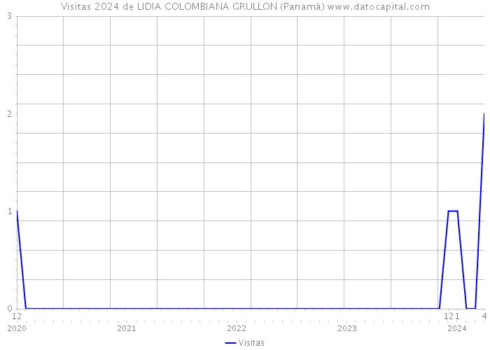 Visitas 2024 de LIDIA COLOMBIANA GRULLON (Panamá) 