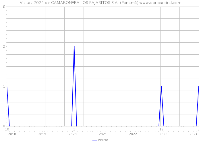 Visitas 2024 de CAMARONERA LOS PAJARITOS S.A. (Panamá) 