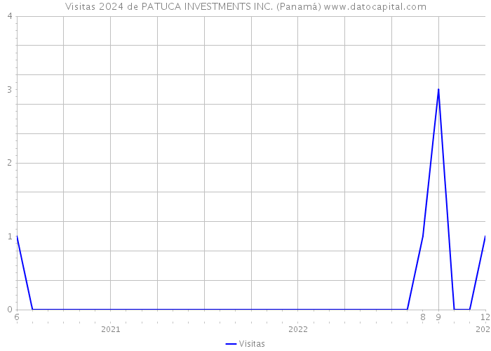 Visitas 2024 de PATUCA INVESTMENTS INC. (Panamá) 
