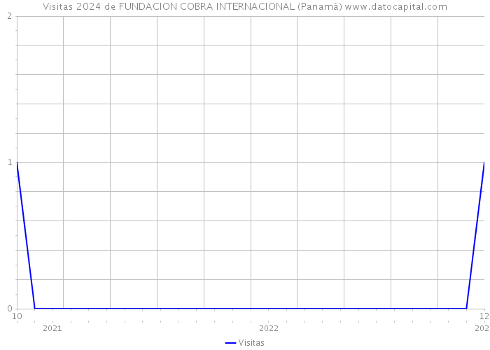 Visitas 2024 de FUNDACION COBRA INTERNACIONAL (Panamá) 