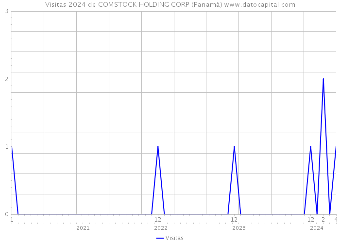 Visitas 2024 de COMSTOCK HOLDING CORP (Panamá) 
