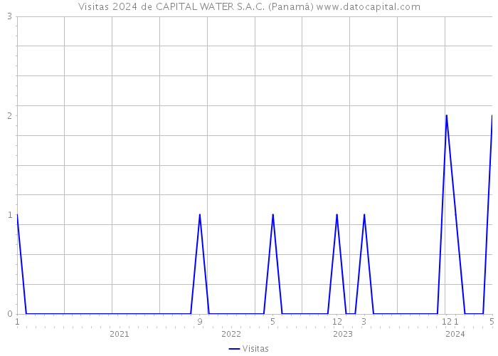 Visitas 2024 de CAPITAL WATER S.A.C. (Panamá) 