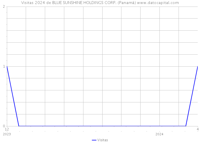 Visitas 2024 de BLUE SUNSHINE HOLDINGS CORP. (Panamá) 