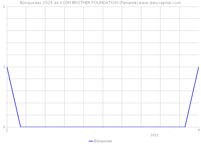 Búsquedas 2024 de KOSH BROTHER FOUNDATION (Panamá) 