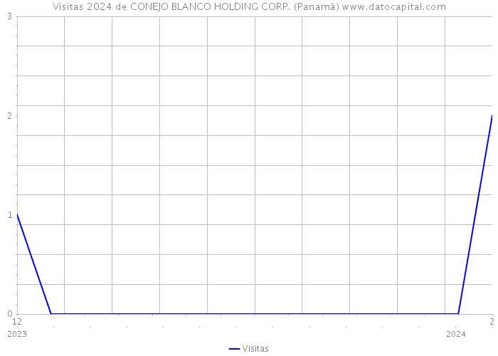 Visitas 2024 de CONEJO BLANCO HOLDING CORP. (Panamá) 