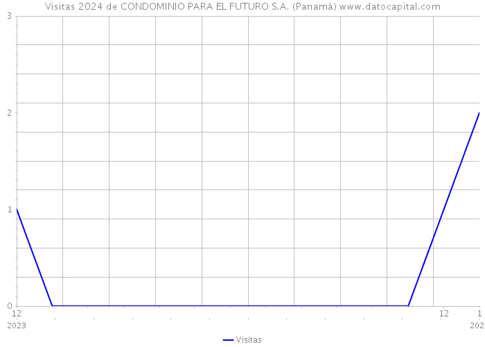 Visitas 2024 de CONDOMINIO PARA EL FUTURO S.A. (Panamá) 
