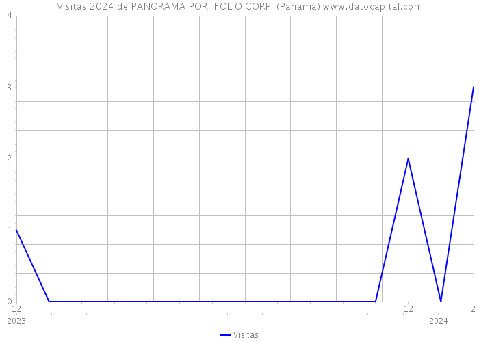 Visitas 2024 de PANORAMA PORTFOLIO CORP. (Panamá) 