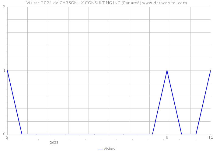 Visitas 2024 de CARBON -X CONSULTING INC (Panamá) 