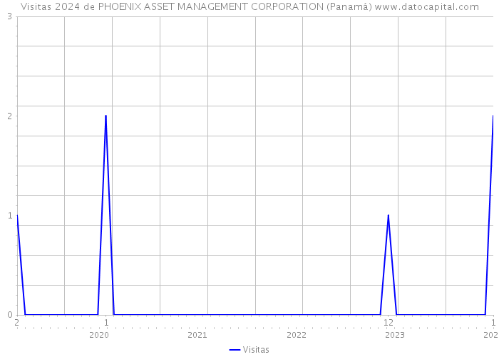 Visitas 2024 de PHOENIX ASSET MANAGEMENT CORPORATION (Panamá) 