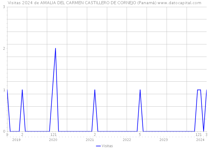 Visitas 2024 de AMALIA DEL CARMEN CASTILLERO DE CORNEJO (Panamá) 
