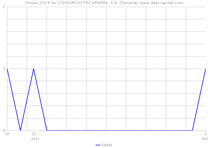 Visitas 2024 de CONSORCIO PACARAIMA, S.A. (Panamá) 