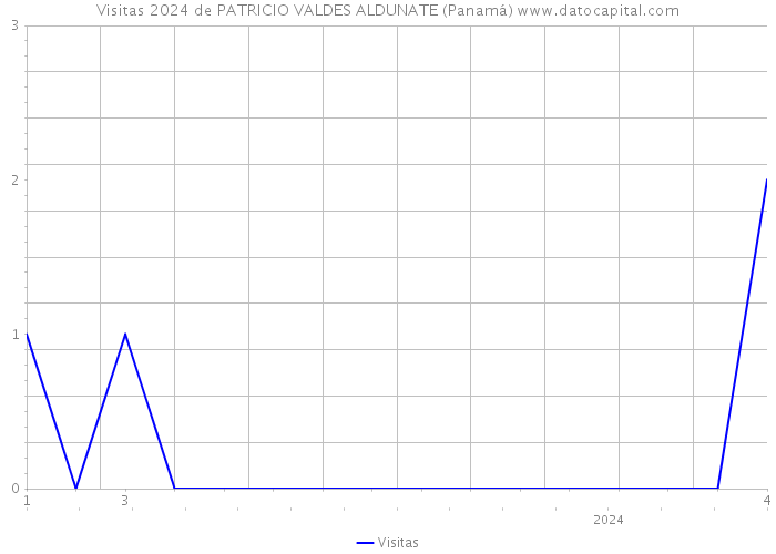 Visitas 2024 de PATRICIO VALDES ALDUNATE (Panamá) 