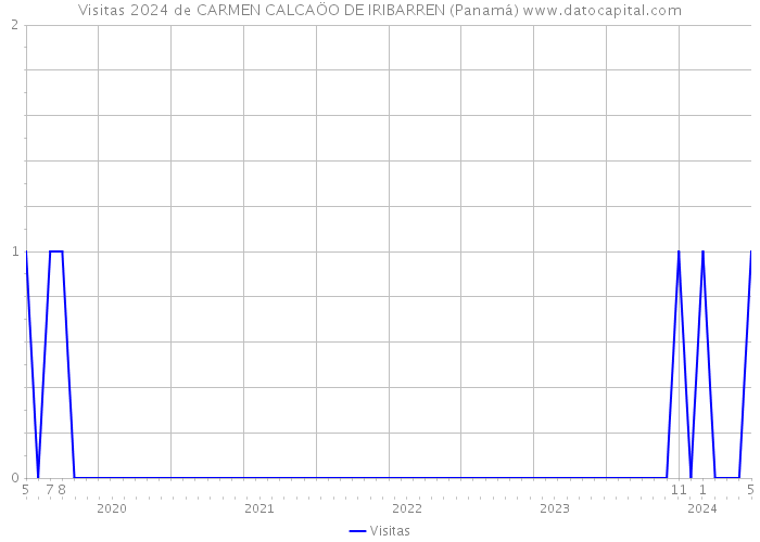 Visitas 2024 de CARMEN CALCAÖO DE IRIBARREN (Panamá) 