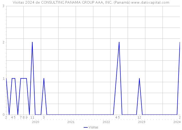Visitas 2024 de CONSULTING PANAMA GROUP AAA, INC. (Panamá) 