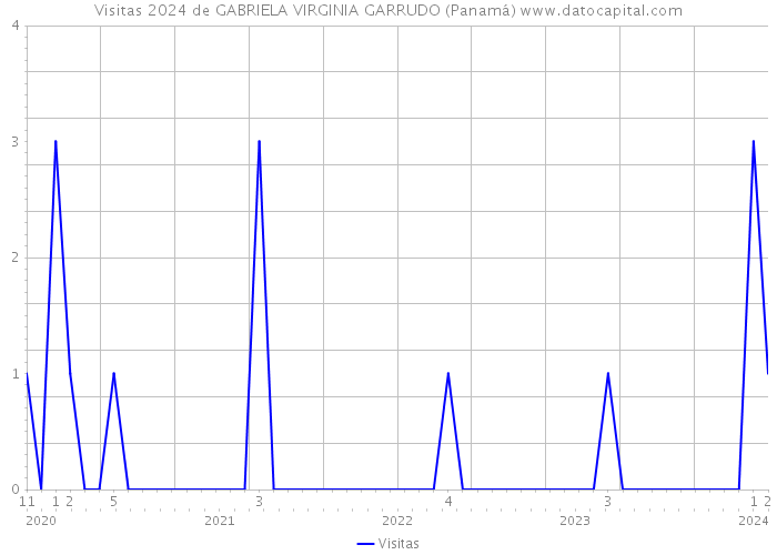 Visitas 2024 de GABRIELA VIRGINIA GARRUDO (Panamá) 