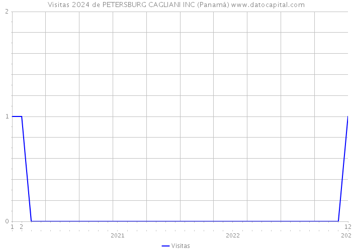 Visitas 2024 de PETERSBURG CAGLIANI INC (Panamá) 