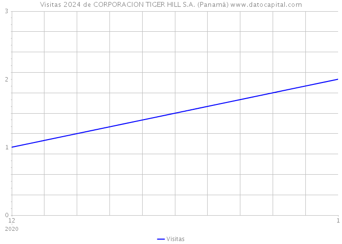 Visitas 2024 de CORPORACION TIGER HILL S.A. (Panamá) 
