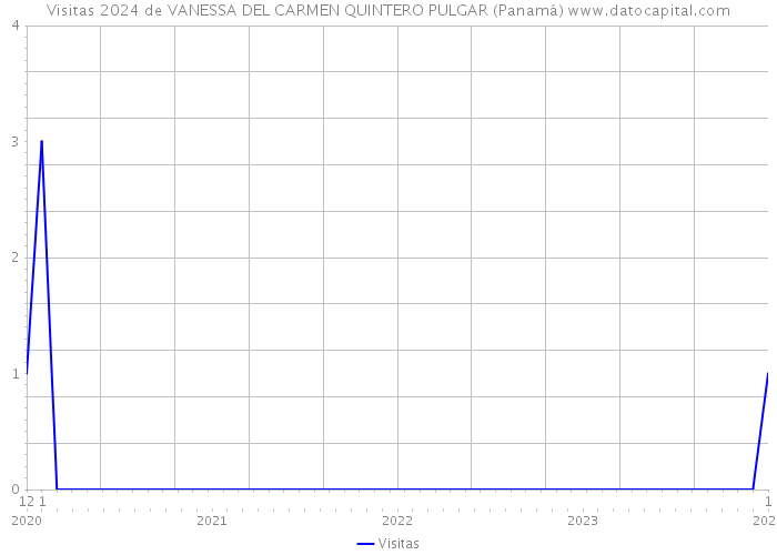 Visitas 2024 de VANESSA DEL CARMEN QUINTERO PULGAR (Panamá) 