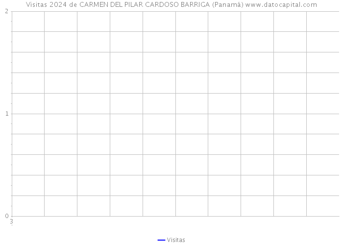 Visitas 2024 de CARMEN DEL PILAR CARDOSO BARRIGA (Panamá) 