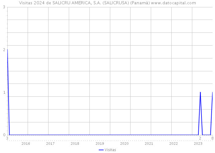 Visitas 2024 de SALICRU AMERICA, S.A. (SALICRUSA) (Panamá) 
