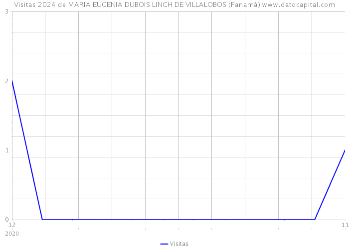 Visitas 2024 de MARIA EUGENIA DUBOIS LINCH DE VILLALOBOS (Panamá) 