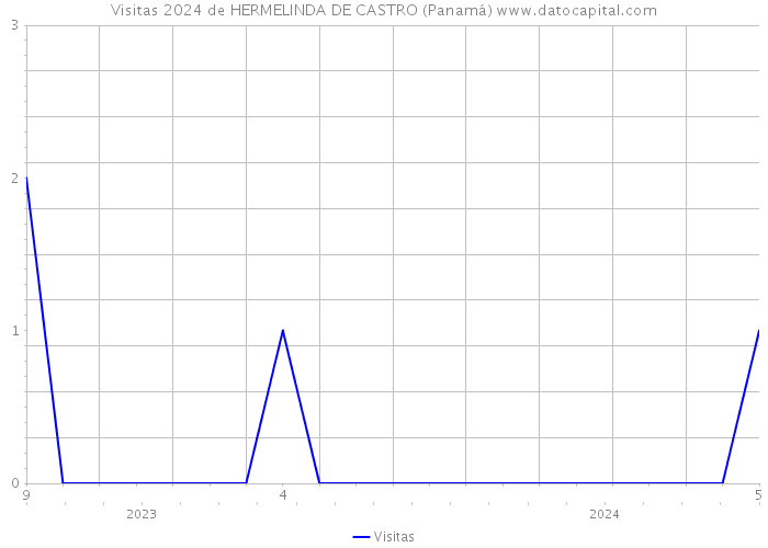 Visitas 2024 de HERMELINDA DE CASTRO (Panamá) 