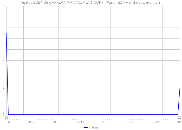 Visitas 2024 de CAPRERA MANAGEMENT CORP. (Panamá) 