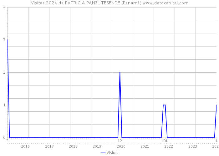 Visitas 2024 de PATRICIA PANZL TESENDE (Panamá) 