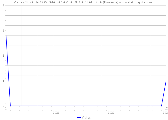 Visitas 2024 de COMPAIA PANAMEA DE CAPITALES SA (Panamá) 