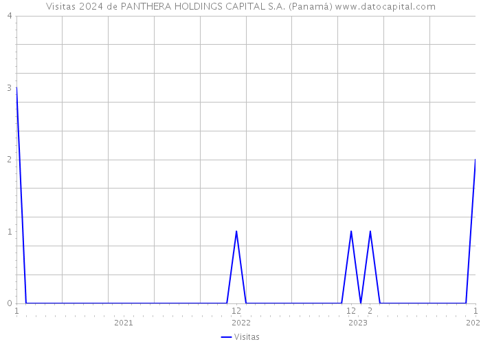 Visitas 2024 de PANTHERA HOLDINGS CAPITAL S.A. (Panamá) 