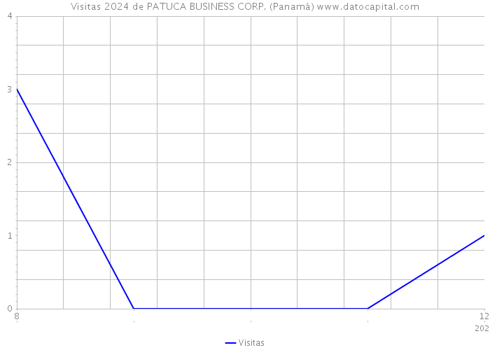 Visitas 2024 de PATUCA BUSINESS CORP. (Panamá) 