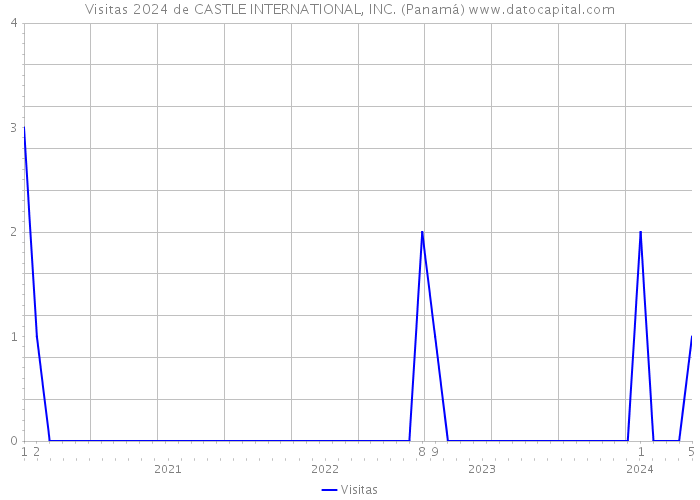 Visitas 2024 de CASTLE INTERNATIONAL, INC. (Panamá) 
