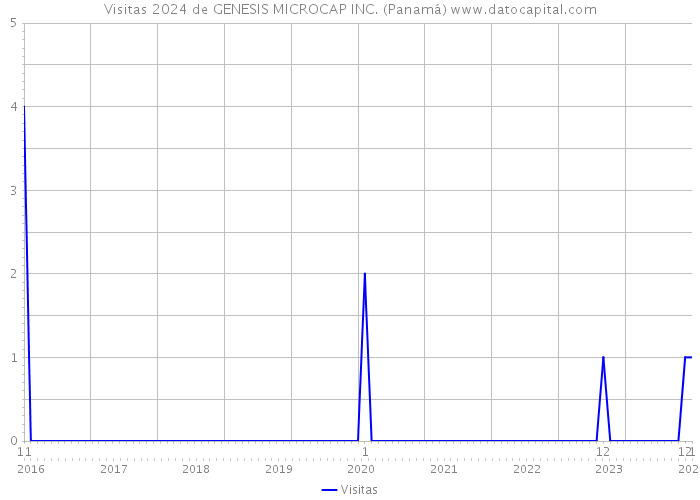 Visitas 2024 de GENESIS MICROCAP INC. (Panamá) 