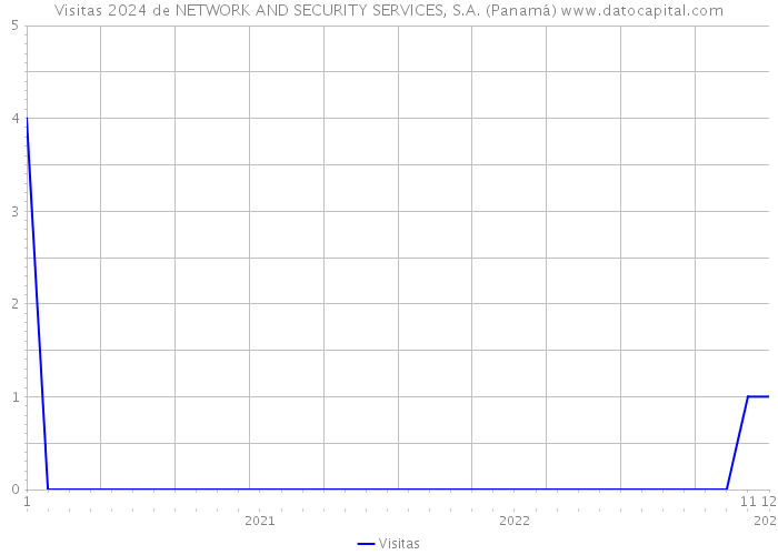 Visitas 2024 de NETWORK AND SECURITY SERVICES, S.A. (Panamá) 
