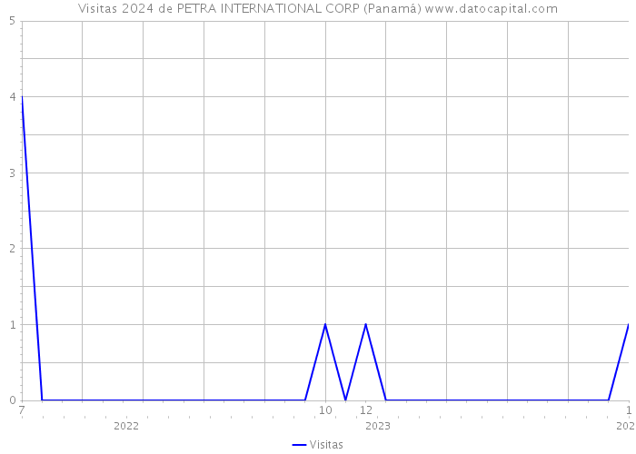 Visitas 2024 de PETRA INTERNATIONAL CORP (Panamá) 