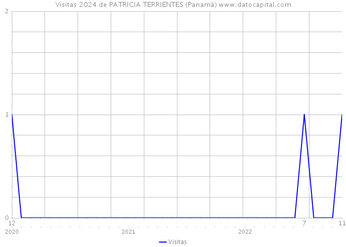 Visitas 2024 de PATRICIA TERRIENTES (Panamá) 