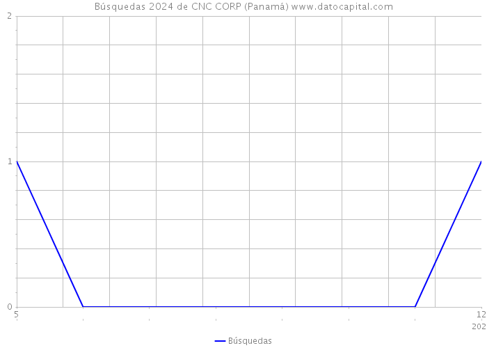 Búsquedas 2024 de CNC CORP (Panamá) 