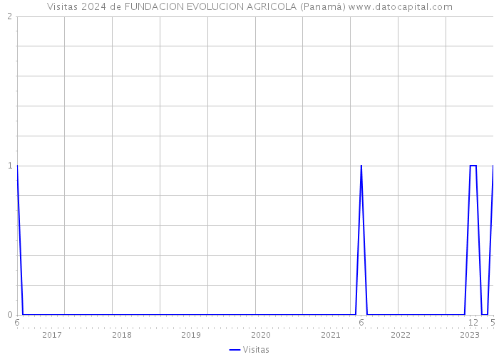 Visitas 2024 de FUNDACION EVOLUCION AGRICOLA (Panamá) 