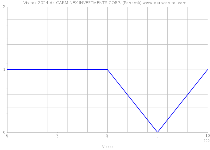 Visitas 2024 de CARMINEX INVESTMENTS CORP. (Panamá) 