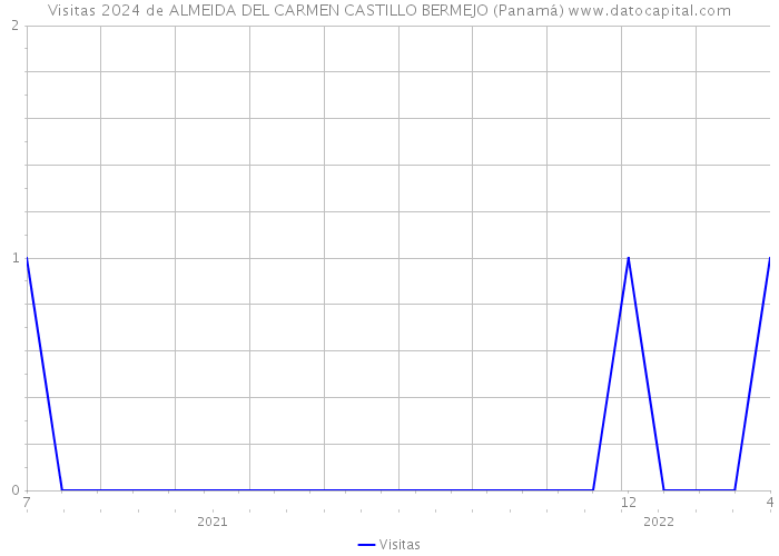 Visitas 2024 de ALMEIDA DEL CARMEN CASTILLO BERMEJO (Panamá) 