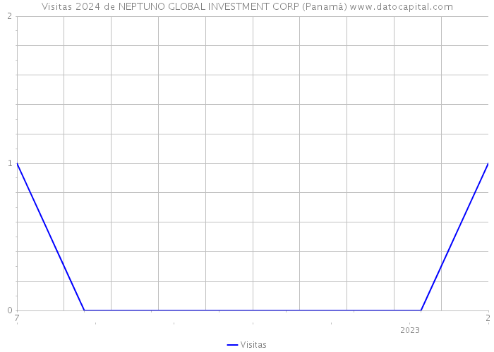 Visitas 2024 de NEPTUNO GLOBAL INVESTMENT CORP (Panamá) 