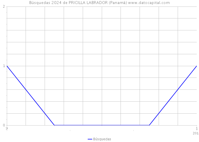 Búsquedas 2024 de PRICILLA LABRADOR (Panamá) 