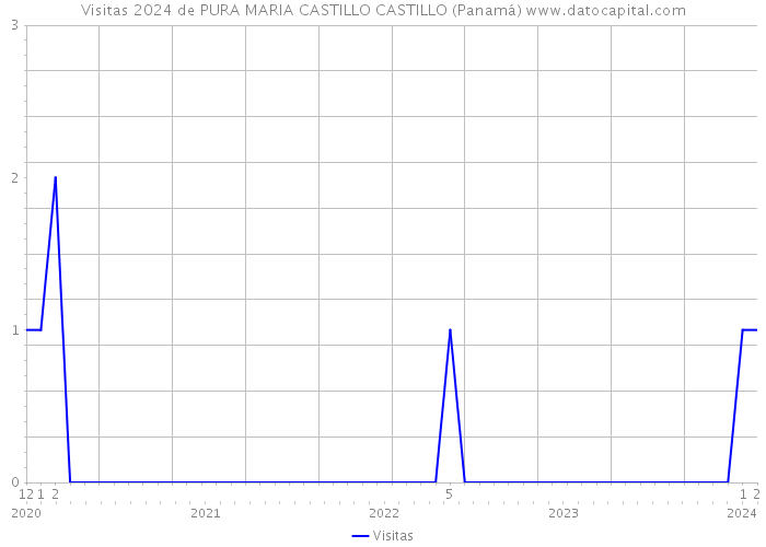 Visitas 2024 de PURA MARIA CASTILLO CASTILLO (Panamá) 