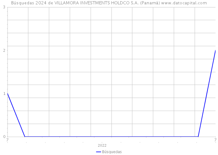Búsquedas 2024 de VILLAMORA INVESTMENTS HOLDCO S.A. (Panamá) 