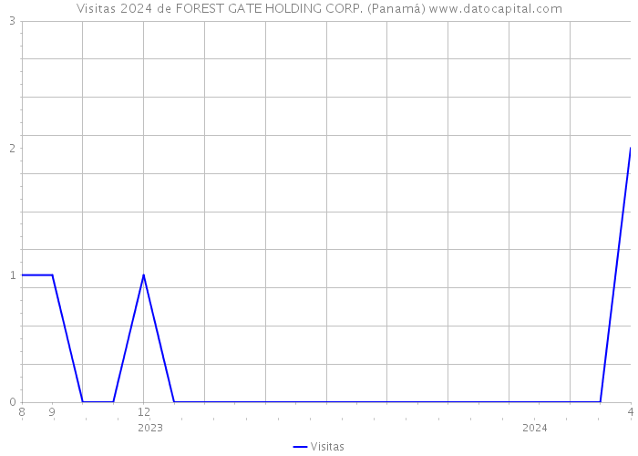 Visitas 2024 de FOREST GATE HOLDING CORP. (Panamá) 