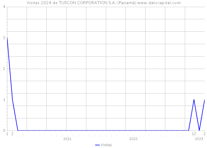 Visitas 2024 de TUSCON CORPORATION S.A. (Panamá) 