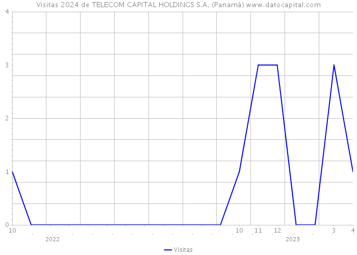 Visitas 2024 de TELECOM CAPITAL HOLDINGS S.A. (Panamá) 