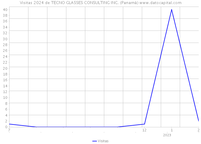 Visitas 2024 de TECNO GLASSES CONSULTING INC. (Panamá) 